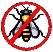 Hazelbank Bee and Wasp Control 371705 Image 0